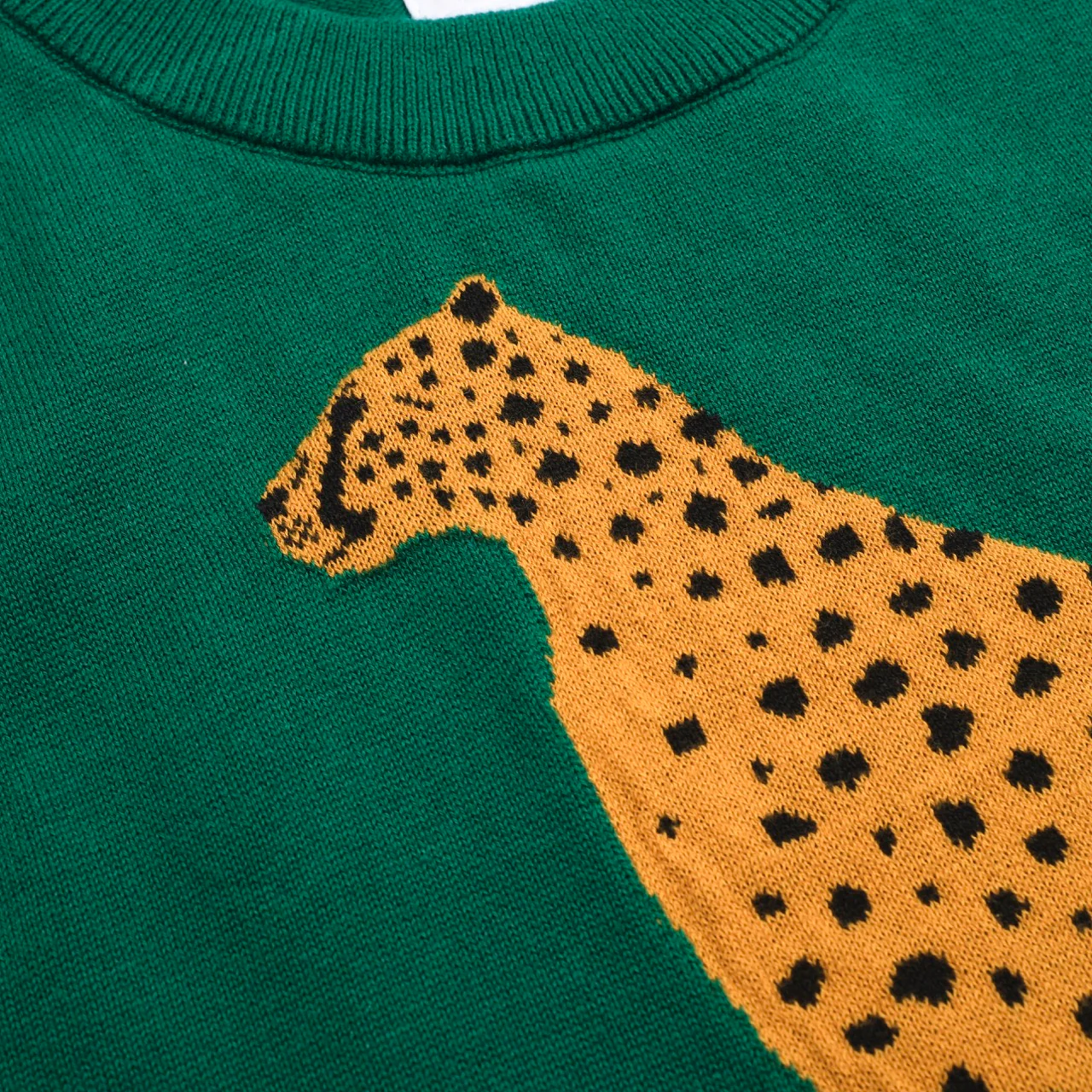 Women’s Green Leopard Print Knit Set with Cheetah Graphic - Image 15