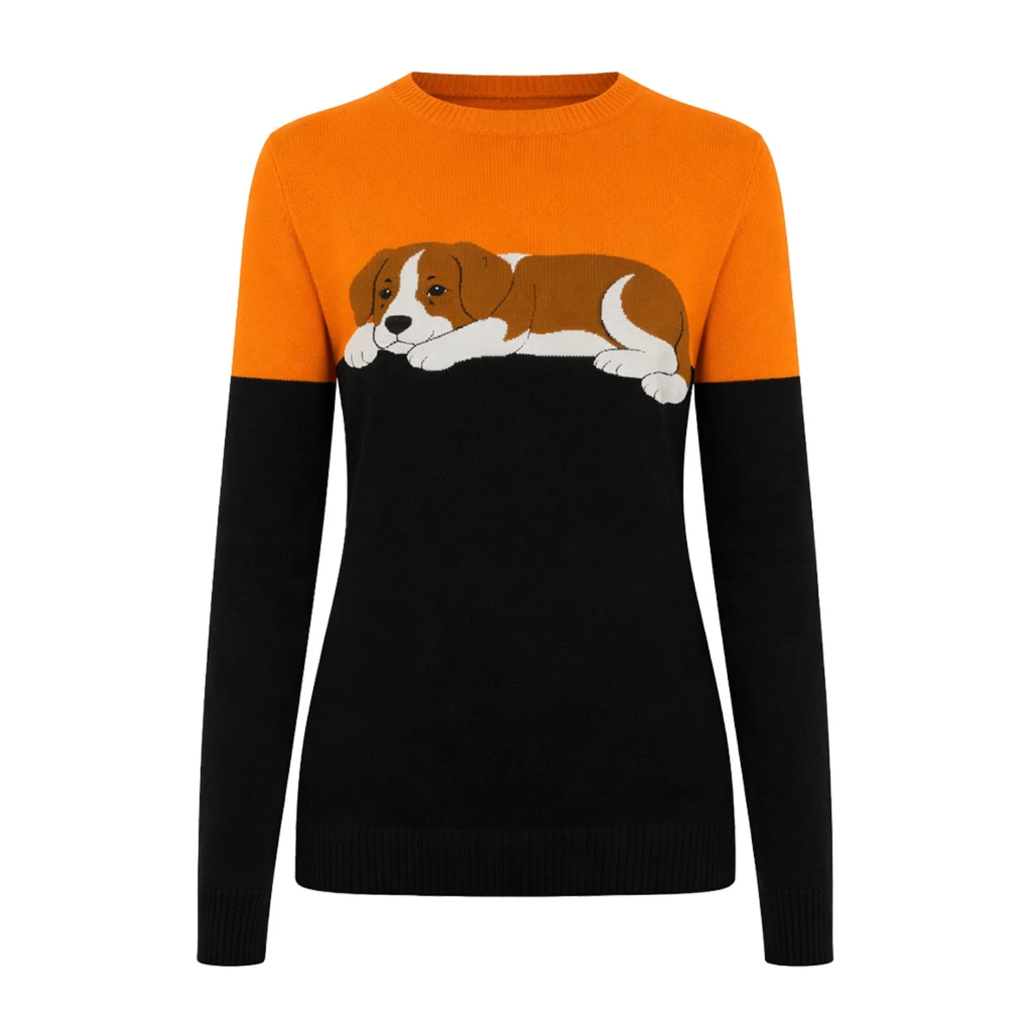 Women's Vintage Design Crochet Knitwear for Dogs